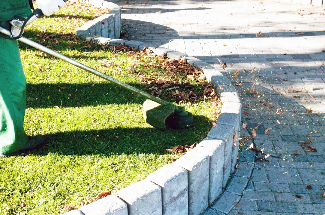 Crisp edging trimming