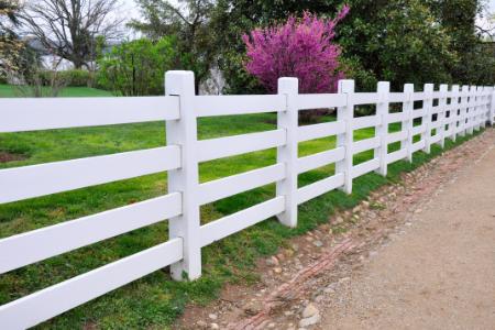 Fence Cleaning
