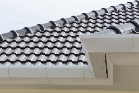 Gutter Cleaning
